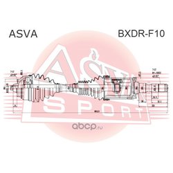Asva BXDRF10