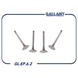 GALLANT GLEP62