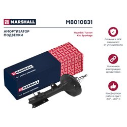 Marshall M8010831