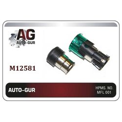 AUTO-GUR M12581