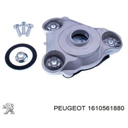 Peugeot-Citroen 1610561880