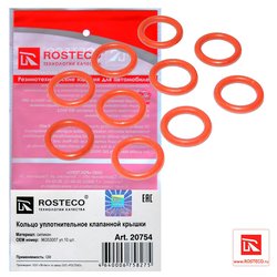 Rosteco 20754