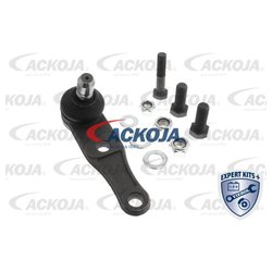 ACKOJA A539502