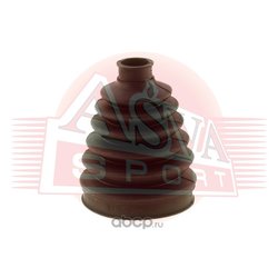 Asva ASBT-ANTR