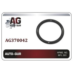 AUTO-GUR AG370042