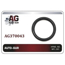 AUTO-GUR AG370043