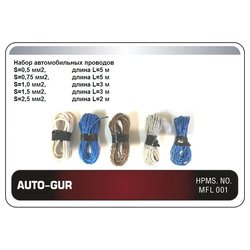 AUTO-GUR AGPV001