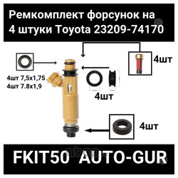 AUTO-GUR FKIT50