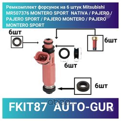 AUTO-GUR FKIT87