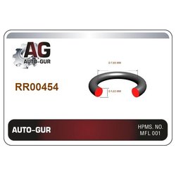 AUTO-GUR RR00454