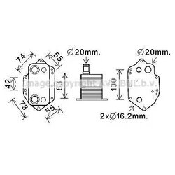 Ava BW3554