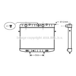 Ava OL2175