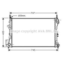 Ava OL2338