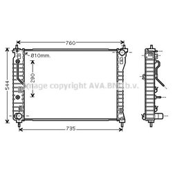 Ava OL2434