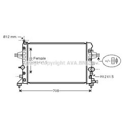 Ava OL2482