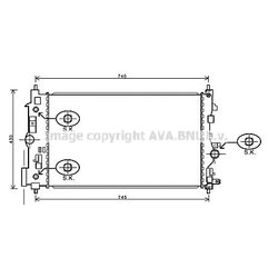 Ava OL2546