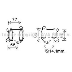 Ava OL3581