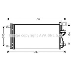 Ava OL5612