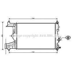 Ava OLA2484