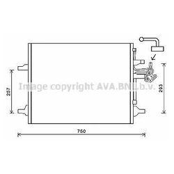 Ava VO5166D