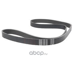 Bando 7PK1550