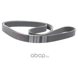 Bando 7PK1700