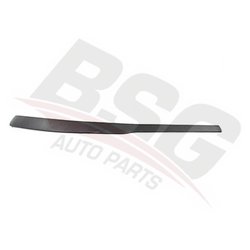 BSG BSG 65-920-003