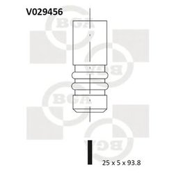 Bga V029456