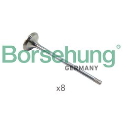 Borsehung B10322