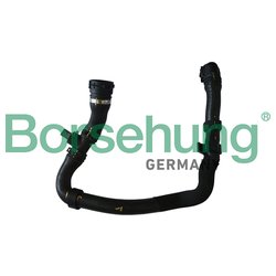 Borsehung B11960