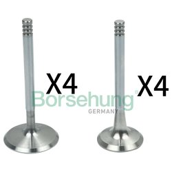 Borsehung B18148