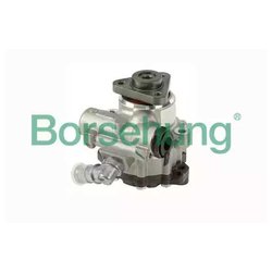 Borsehung B18223