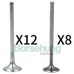 Borsehung B18636