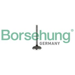 Borsehung B18998