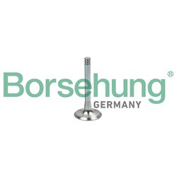 Borsehung B19002