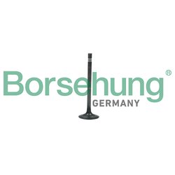 Borsehung B19006