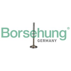 Borsehung B19009