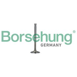 Borsehung B19010