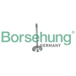 Borsehung B19018