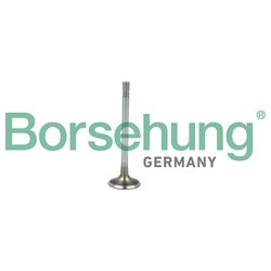 Borsehung B19021