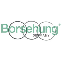 Borsehung B19037