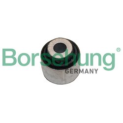 Borsehung B19063