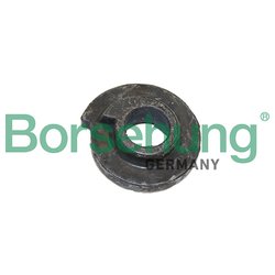 Borsehung B19069