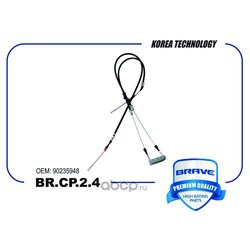 Brave BRCP24