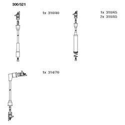 Bremi 300/521