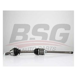 Фото BSG BSG 15-350-003