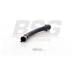 BSG BSG15720116