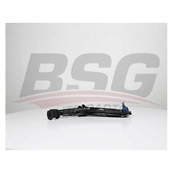 BSG BSG25315004