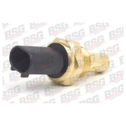 BSG BSG60840013