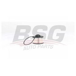 BSG BSG70130008